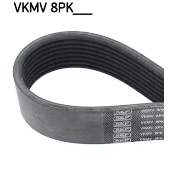 Courroie trapézoïdale à nervures SKF VKMV 8PK1162 R