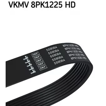 Courroie trapézoïdale à nervures SKF VKMV 8PK1225 HD