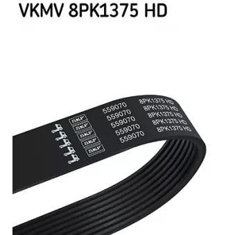 Courroie trapézoïdale à nervures SKF VKMV 8PK1375 HD