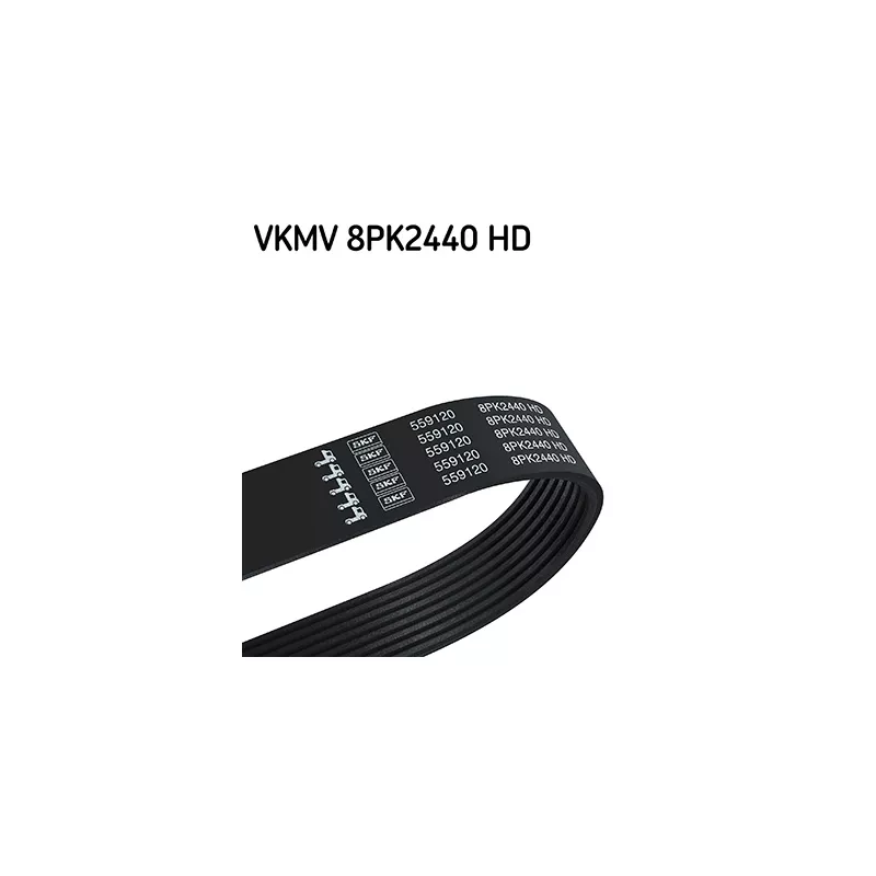 Courroie trapézoïdale à nervures SKF VKMV 8PK2440 HD