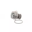 Pompe à eau SKF VKPC 85212 - Visuel 3