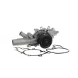 Pompe à eau SKF VKPC 88843 - Visuel 2