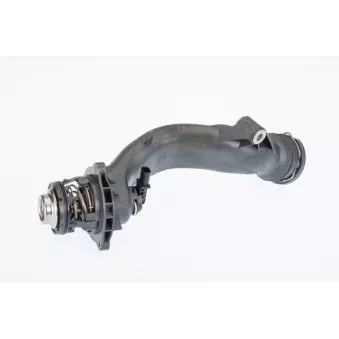 Thermostat, liquide de refroidissement WAHLER 410465.103D