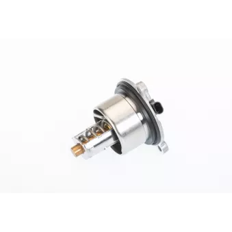 Thermostat, liquide de refroidissement WAHLER