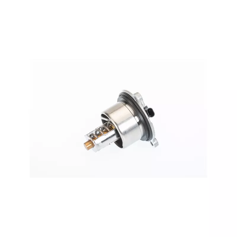 Thermostat, liquide de refroidissement WAHLER 411076.104D