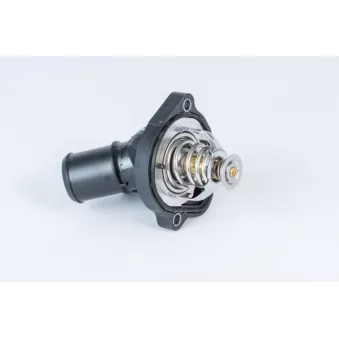 Thermostat d'eau WAHLER 411886.82D