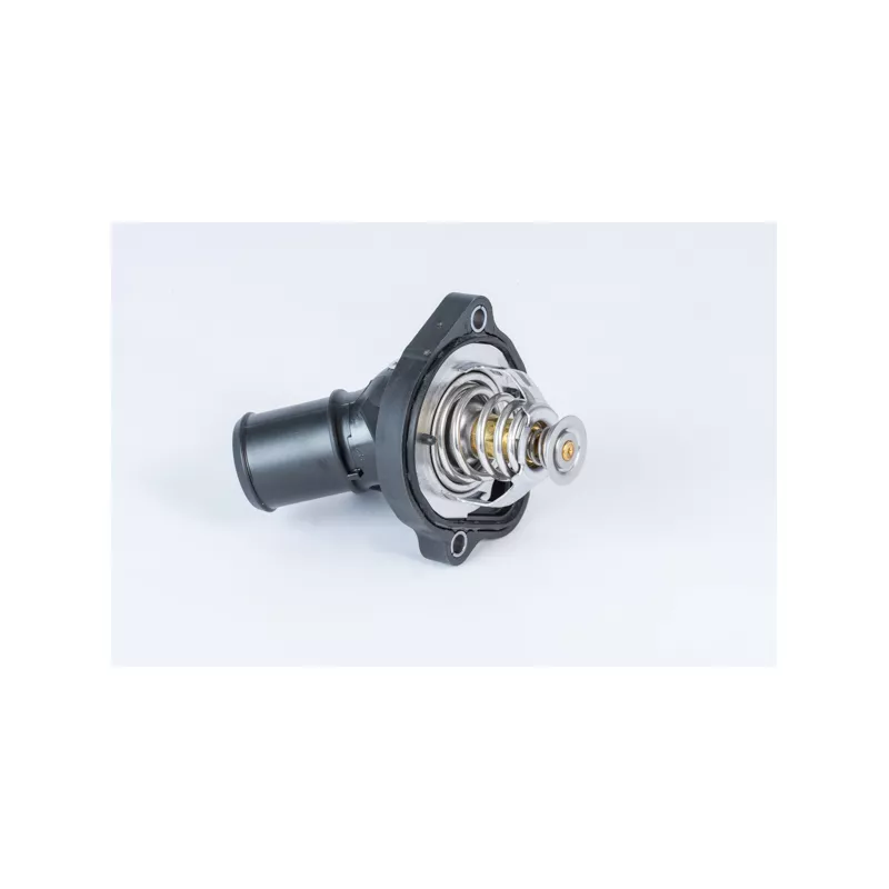 Thermostat d'eau WAHLER 411886.82D