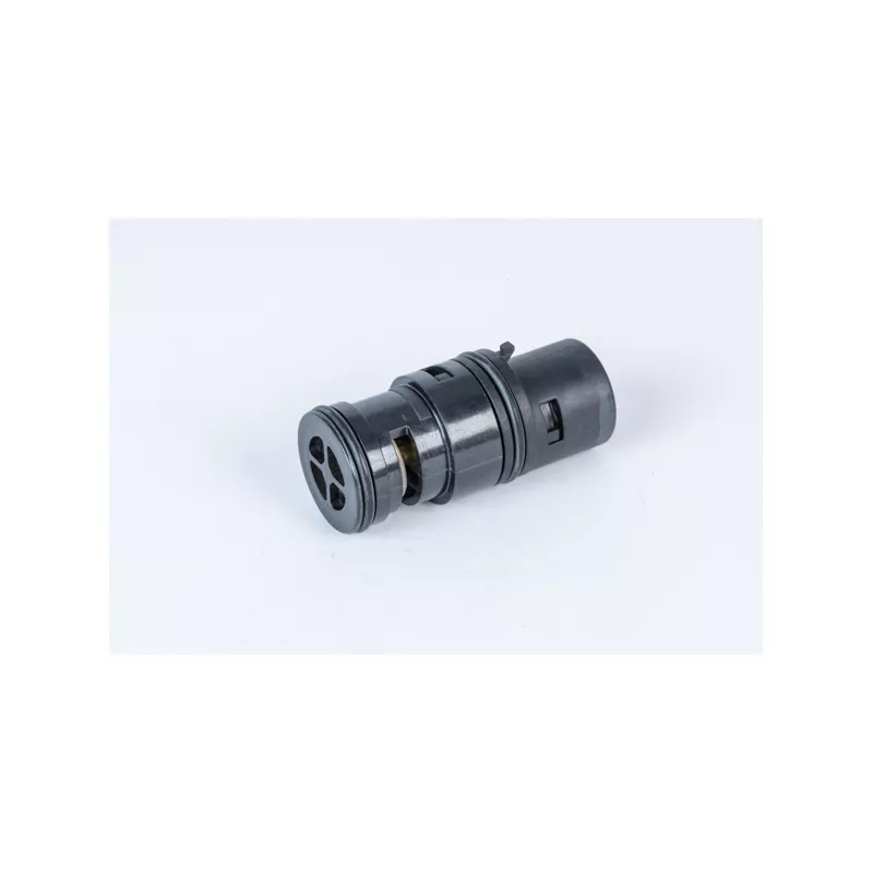 Thermostat d'eau WAHLER 411961.80D
