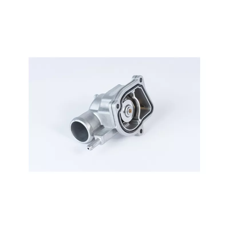 Thermostat d'eau WAHLER 411963.87D
