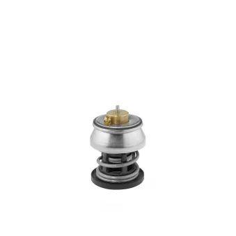 Thermostat, liquide de refroidissement WAHLER 412253.88D