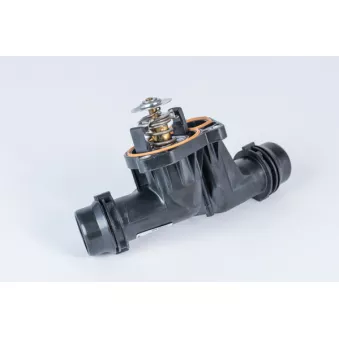 Thermostat d'eau WAHLER 412255.85D