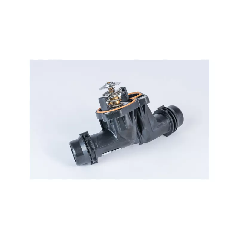 Thermostat d'eau WAHLER 412255.85D