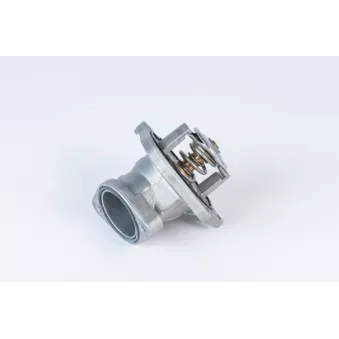 Thermostat d'eau WAHLER 4832.87D