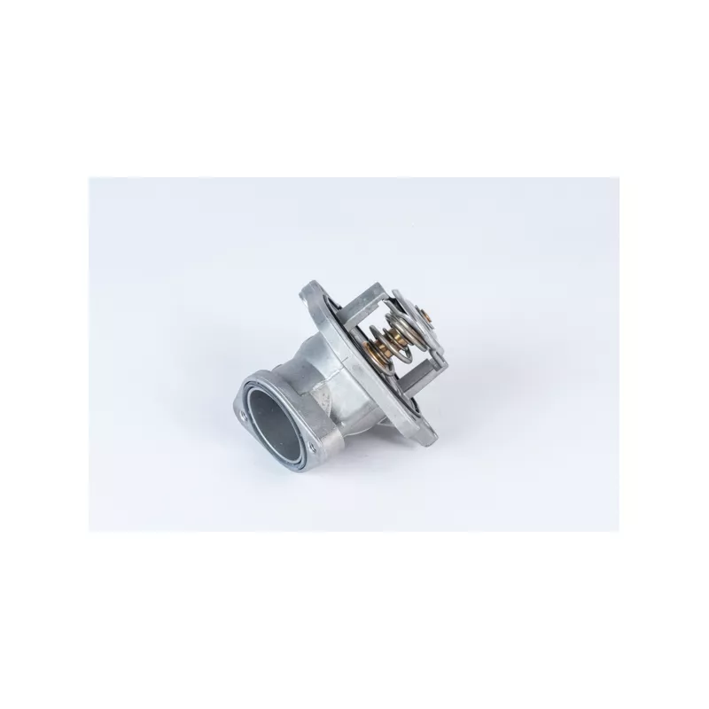 Thermostat d'eau WAHLER 4832.87D