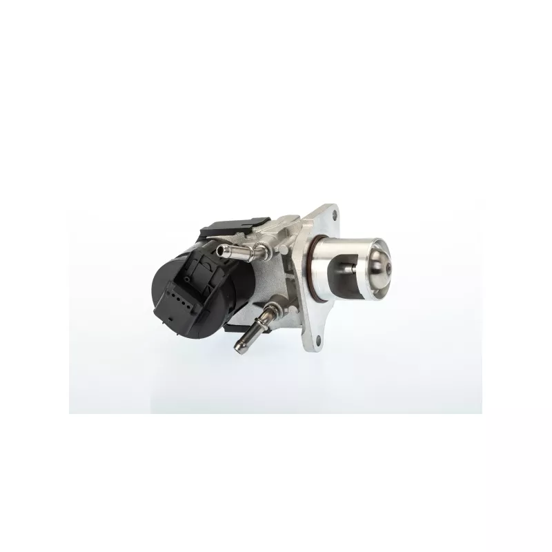 Vanne EGR WAHLER 710327R