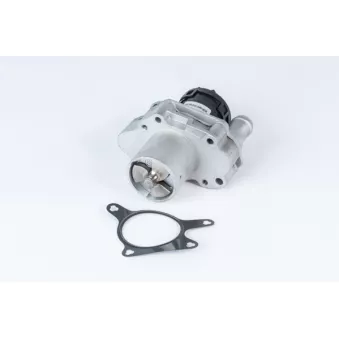 Vanne EGR WAHLER 710471R