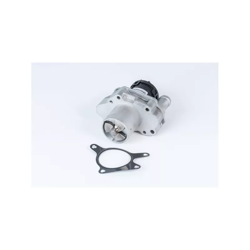 Vanne EGR WAHLER 710471R