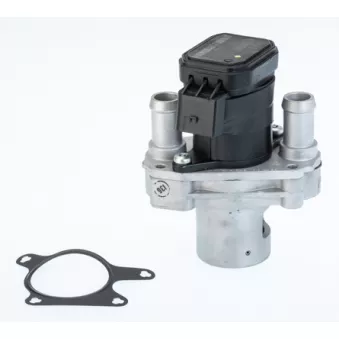 Vanne EGR WAHLER 710476R