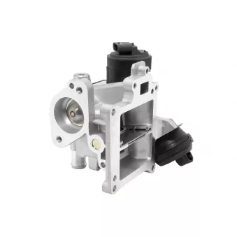 Vanne EGR WAHLER 710488D0