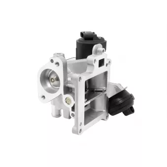 Vanne EGR WAHLER 710626D0