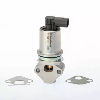 Vanne EGR WAHLER 710721D0