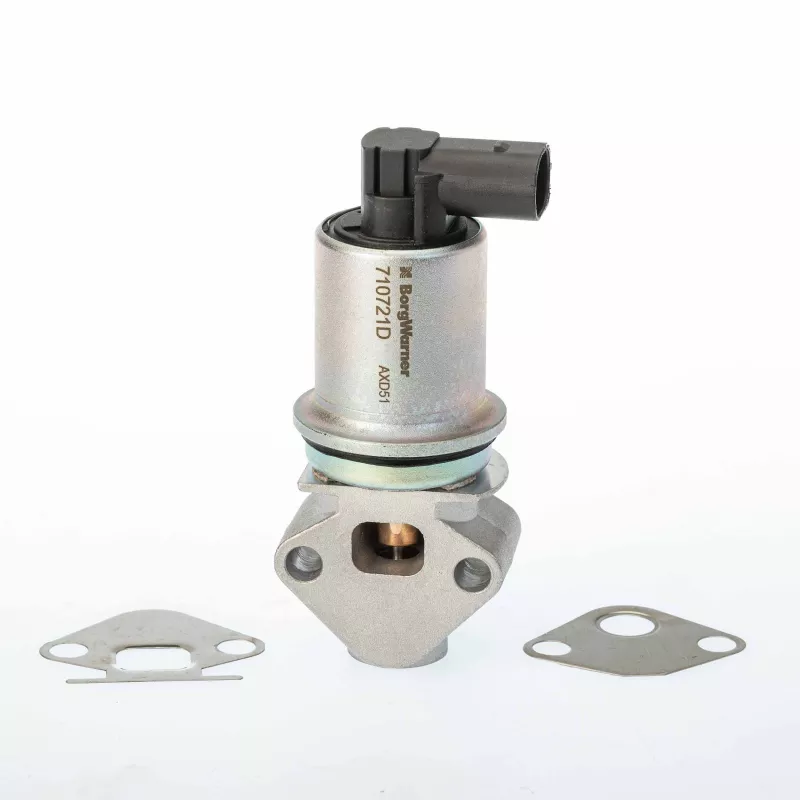 Vanne EGR WAHLER 710721D0