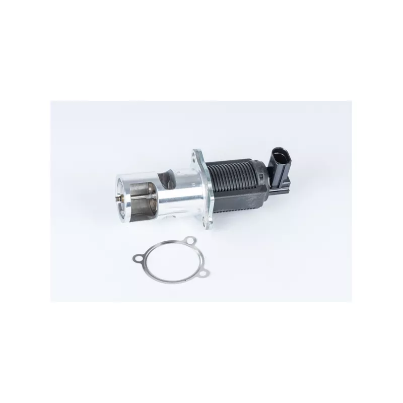 Vanne EGR WAHLER 710723D