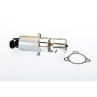 Vanne EGR WAHLER 710725D