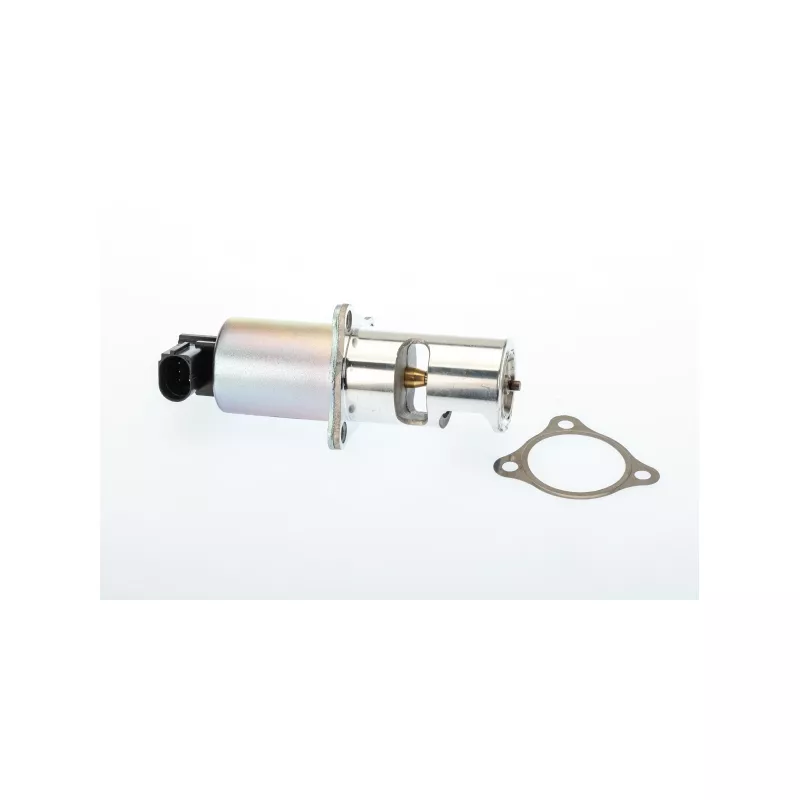 Vanne EGR WAHLER 710725D