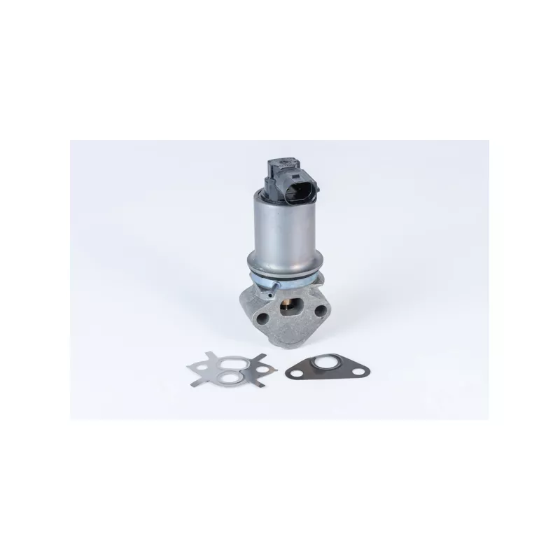 Vanne EGR WAHLER 710771D0