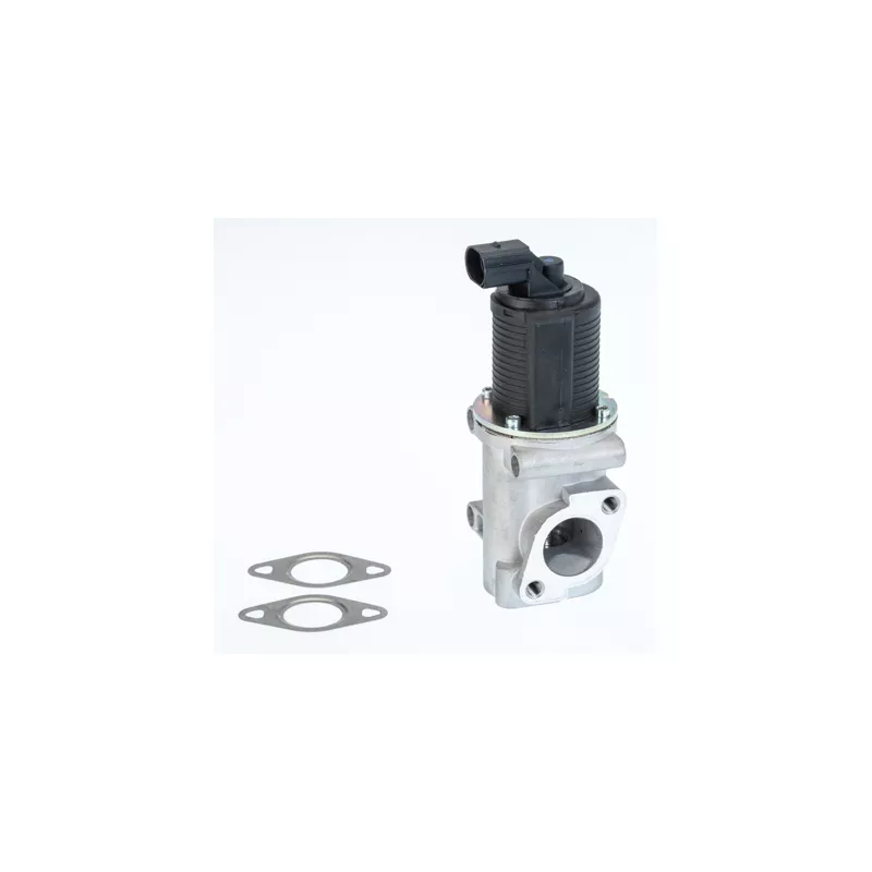 Vanne EGR WAHLER 710772D