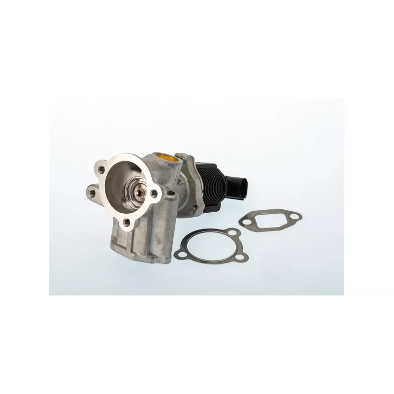 Vanne EGR WAHLER 710773D