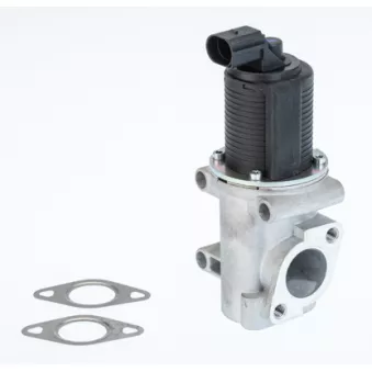 Vanne EGR WAHLER 710774D