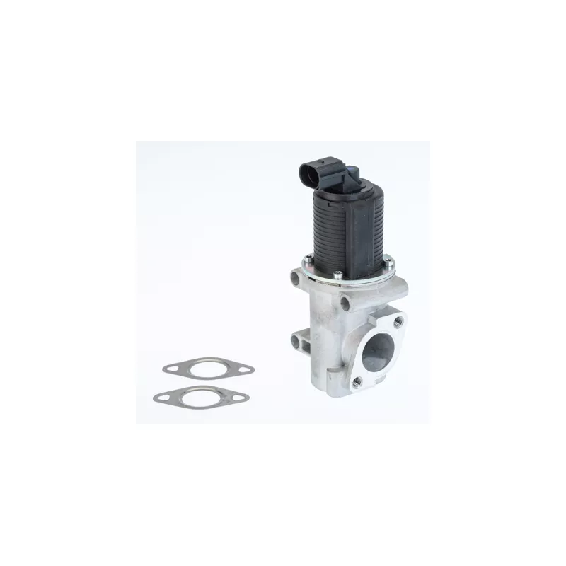 Vanne EGR WAHLER 710774D