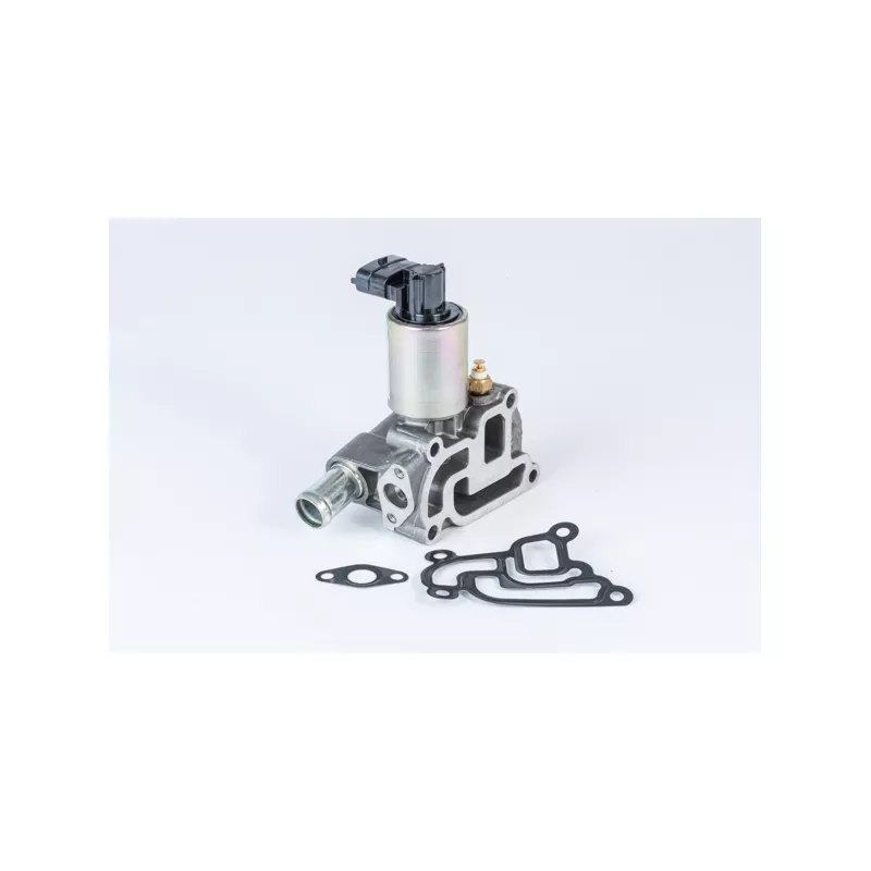 Vanne EGR WAHLER 710775D0
