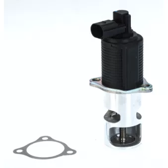 Vanne EGR WAHLER 710776D