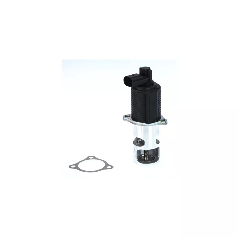 Vanne EGR WAHLER 710776D