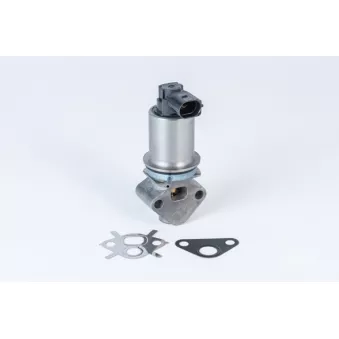 Vanne EGR WAHLER 710780D0