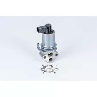 Vanne EGR WAHLER 710788D0