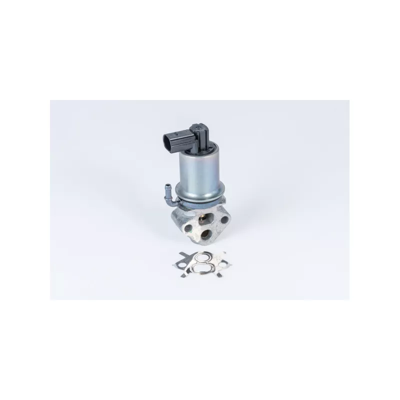Vanne EGR WAHLER 710788D0