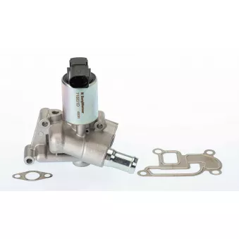 Vanne EGR WAHLER 710831D