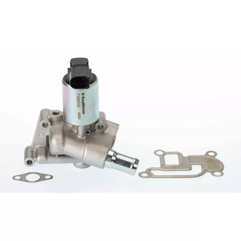 Vanne EGR WAHLER 710831D/1