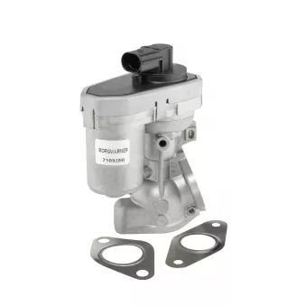 Vanne EGR WAHLER 710925R