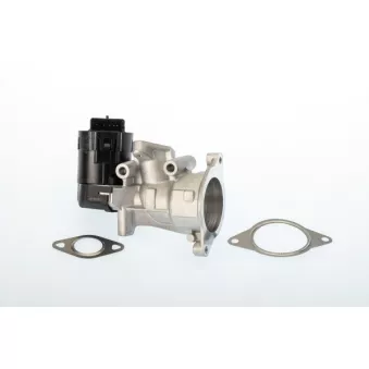 Vanne EGR WAHLER 710926R