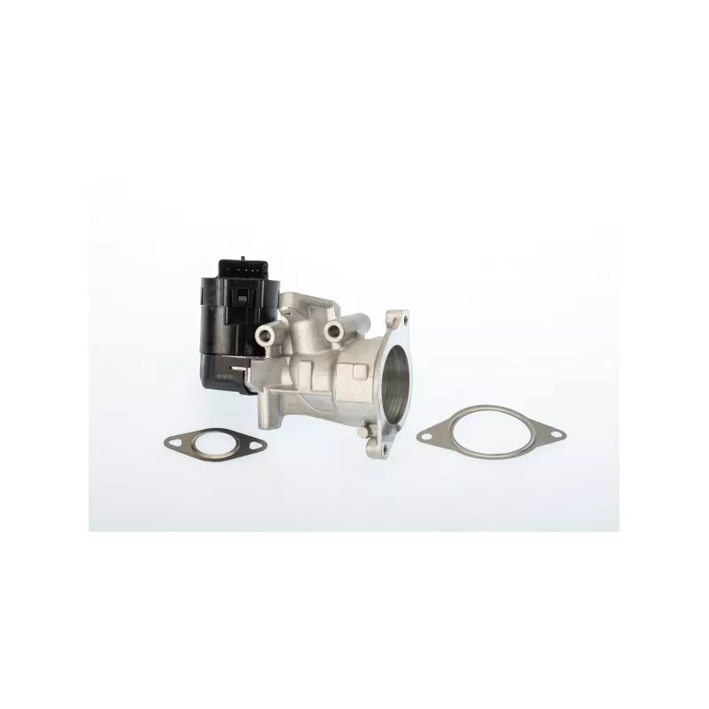 Vanne EGR WAHLER 710926R