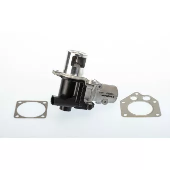 Vanne EGR WAHLER 710928D
