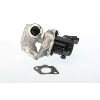 Vanne EGR WAHLER 710929D