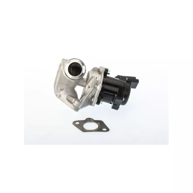 Vanne EGR WAHLER 710929D