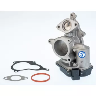 Vanne EGR WAHLER 710931R