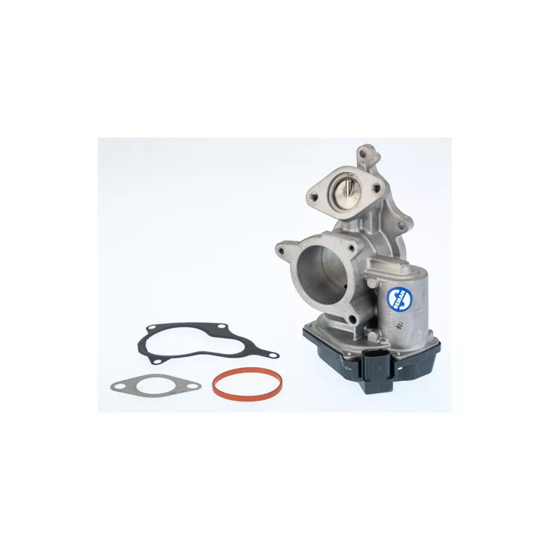 Vanne EGR WAHLER 710931R